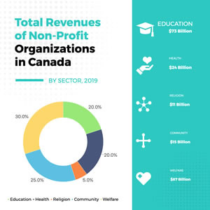 Nonprofit Organizations Pie Chart Design