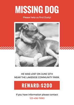 White and Orange Dog Missing Poster Design