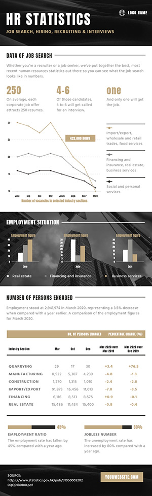 Hr Statistics Infographic Design