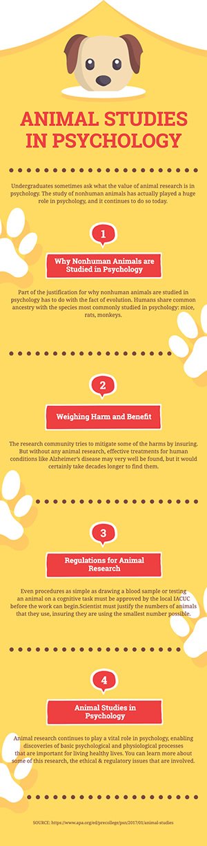 Animal Studies Infographic Design