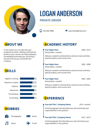 Driver Resume Design