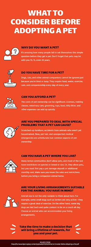 Before Adopting A Pet Infographic Design