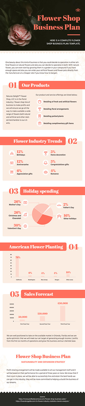 Flower Shop Business Plan Infographic Design