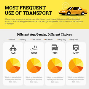 Transportation Usage Pie Chart Design