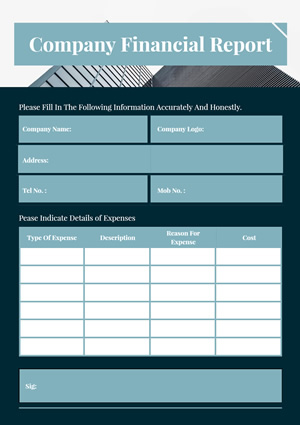 Financial Report Design