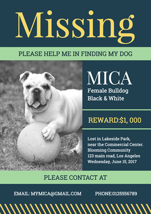 Finding Dog Poster Design